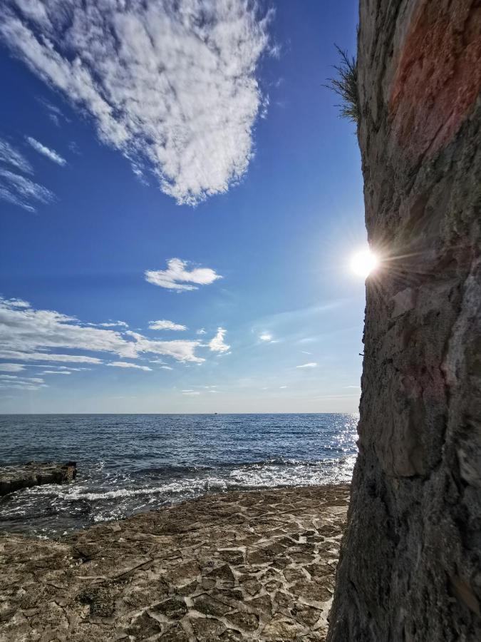 Lora Deluxe Superior 5 Star Apartment, Your Piece Of Heaven By The Sea & Park With Sea & Park View Novigrad Istria 외부 사진