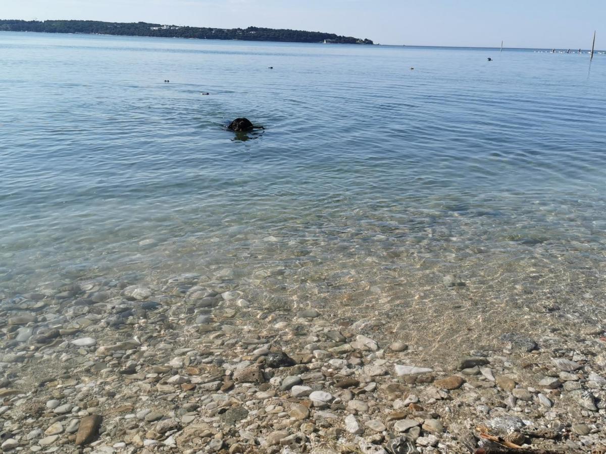 Lora Deluxe Superior 5 Star Apartment, Your Piece Of Heaven By The Sea & Park With Sea & Park View Novigrad Istria 외부 사진