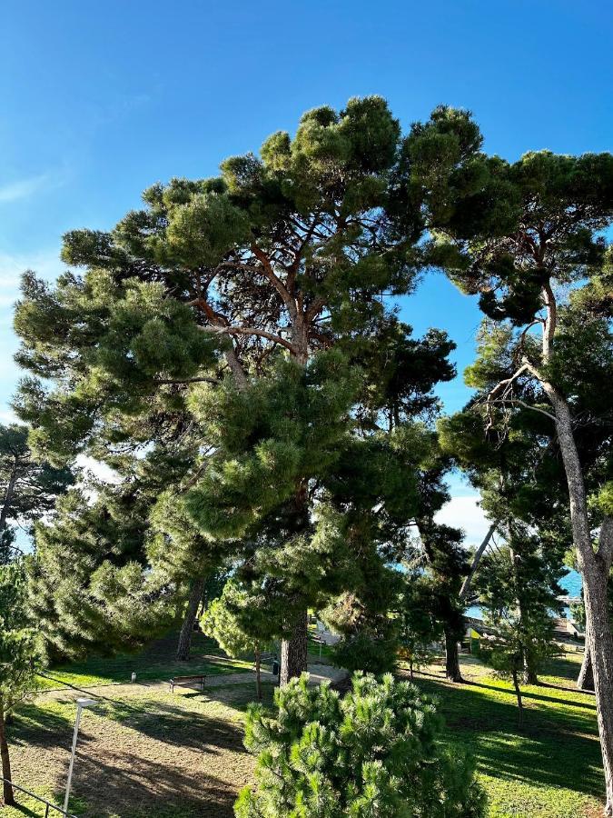 Lora Deluxe Superior 5 Star Apartment, Your Piece Of Heaven By The Sea & Park With Sea & Park View Novigrad Istria 외부 사진